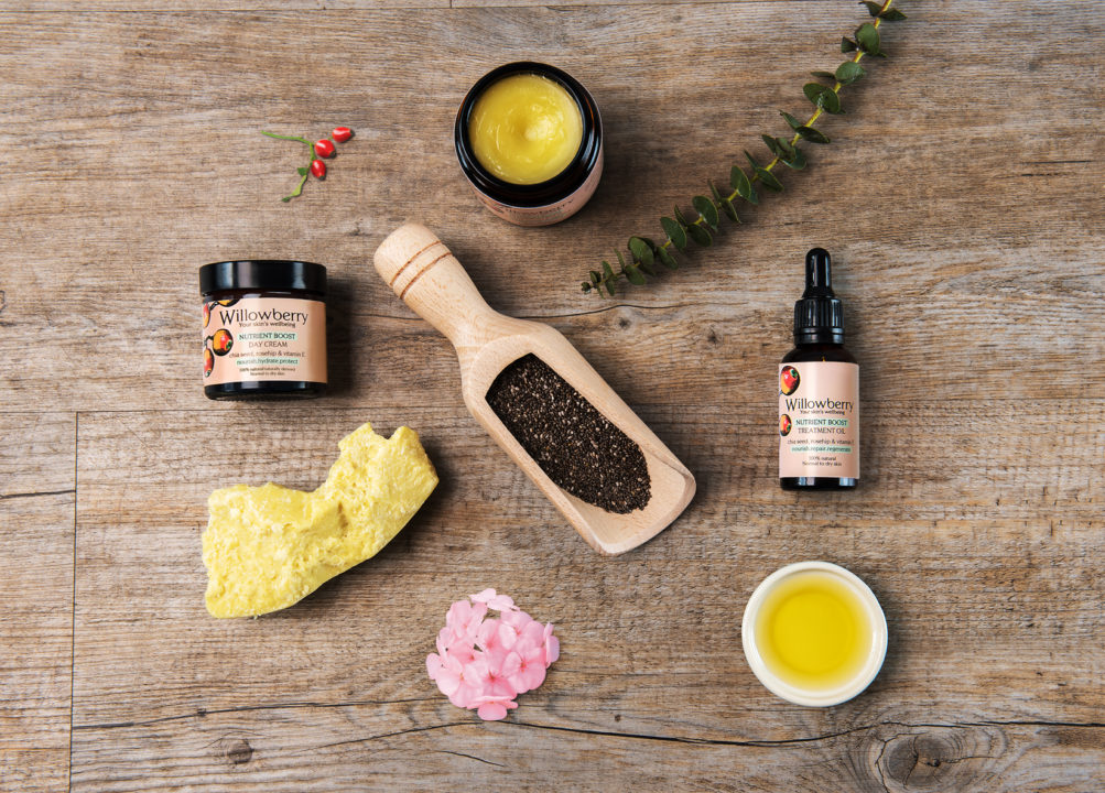 Digital Marketing Success For Natural Skin Brand Willowberry